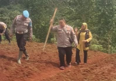 Dukung Hanpangan, Polsek Sukadana Polres Ciamis Ikut Pantau Pertanian Jagung Warga Bunter
