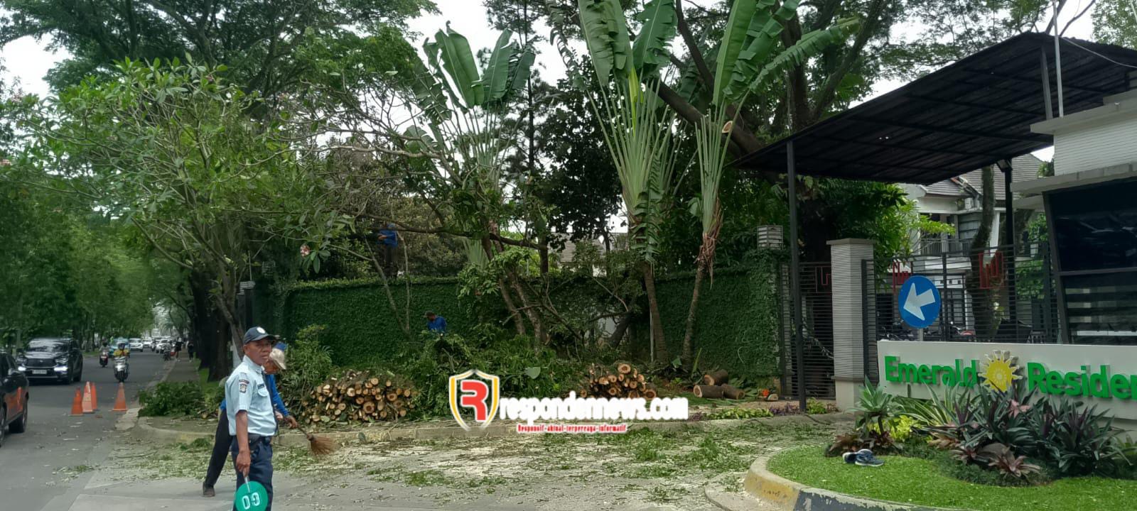Pemangkasan Pohon di Emerald Residence Bintaro untuk Antisipasi Cuaca Ekstrem
