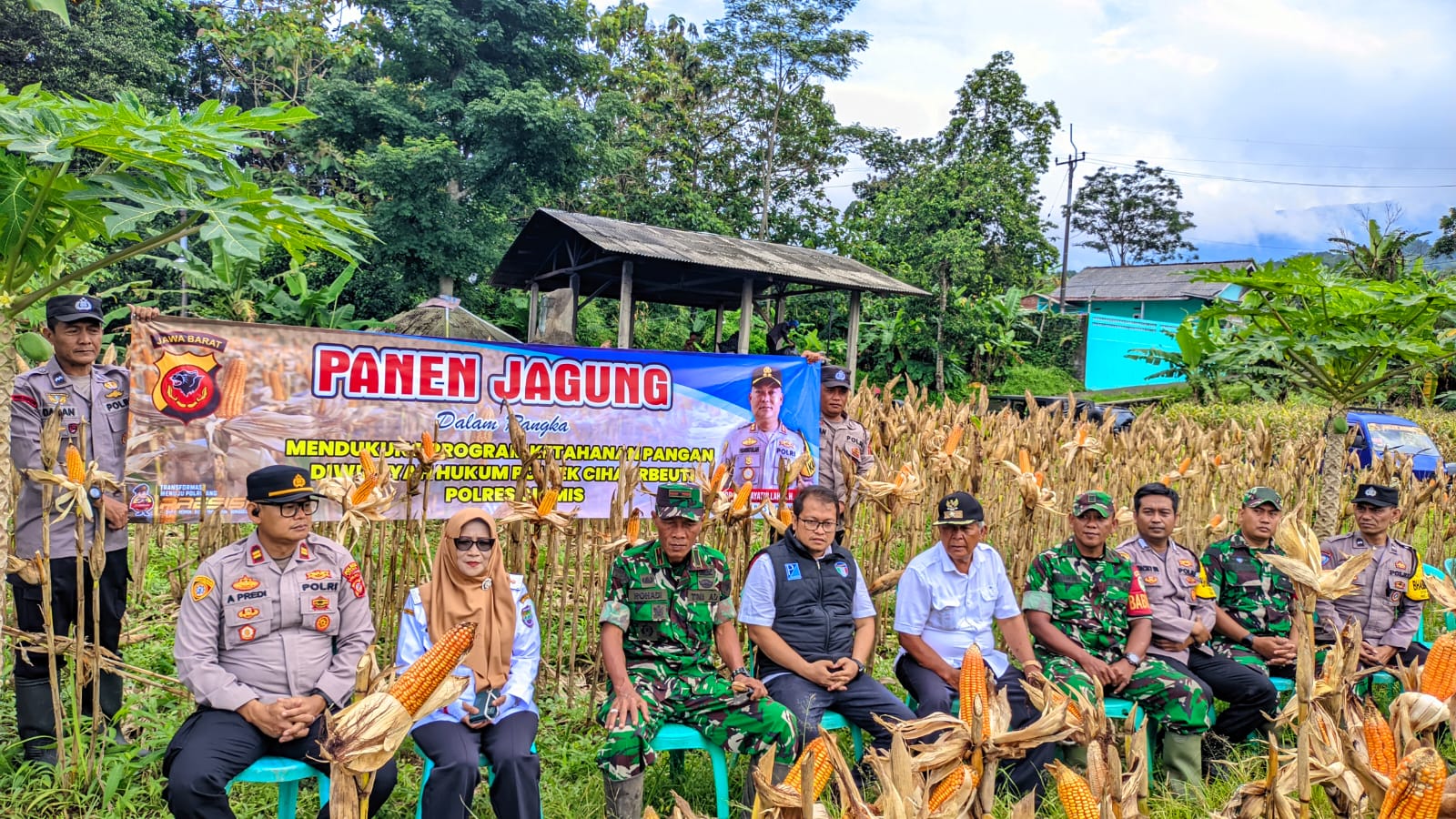 Polsek Cihaurbeuti Dukung Ketahanan Pangan Melalui Panen Jagung di Lahan Binaan Satwil (LBS)