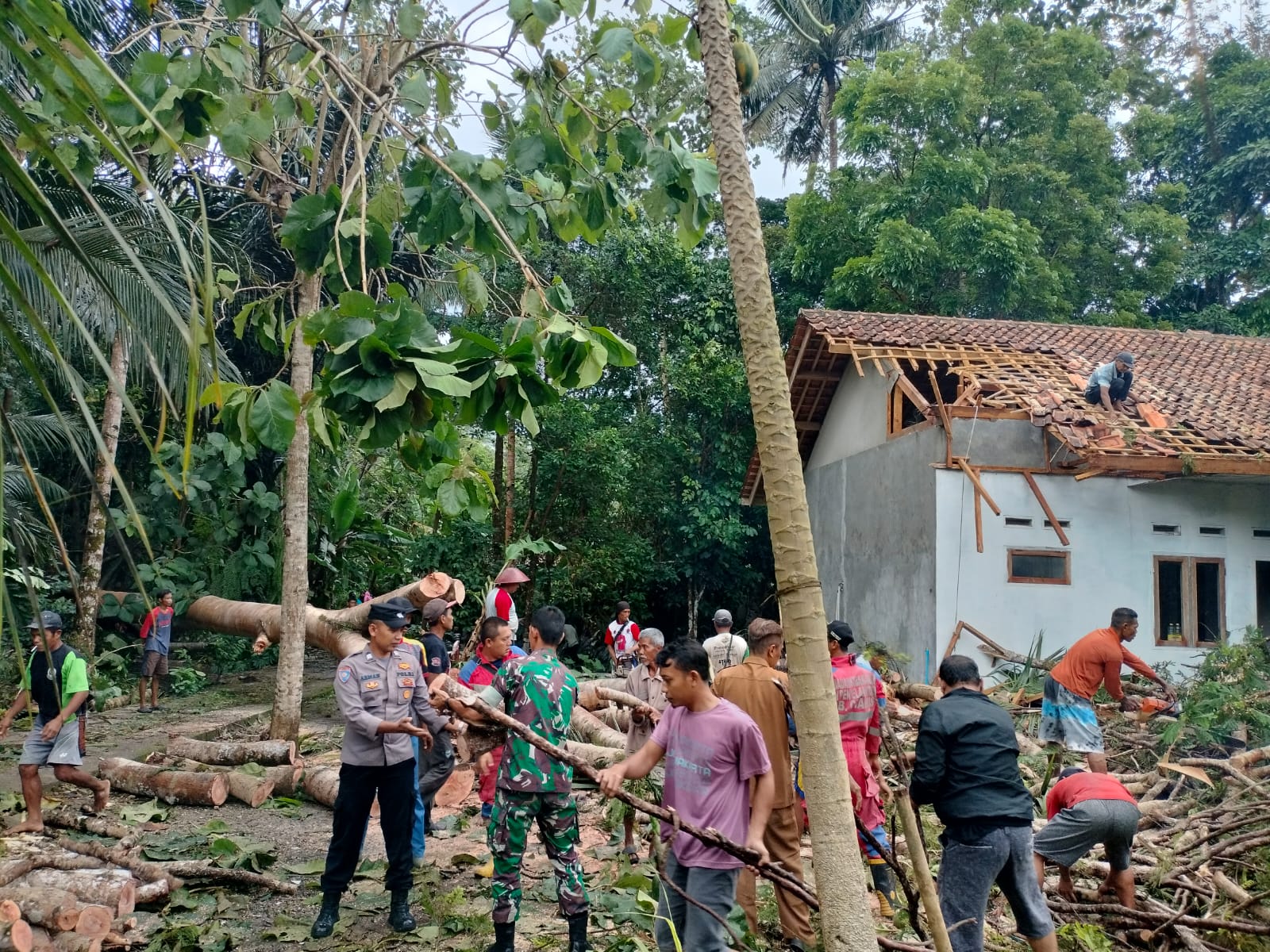 Polsek Banjarsari Sigap Tangani Pohon Tumbang di Ciulu, Kapolres Ciamis Tegaskan Komitmen Kepolisian dalam Penanganan Bencana
