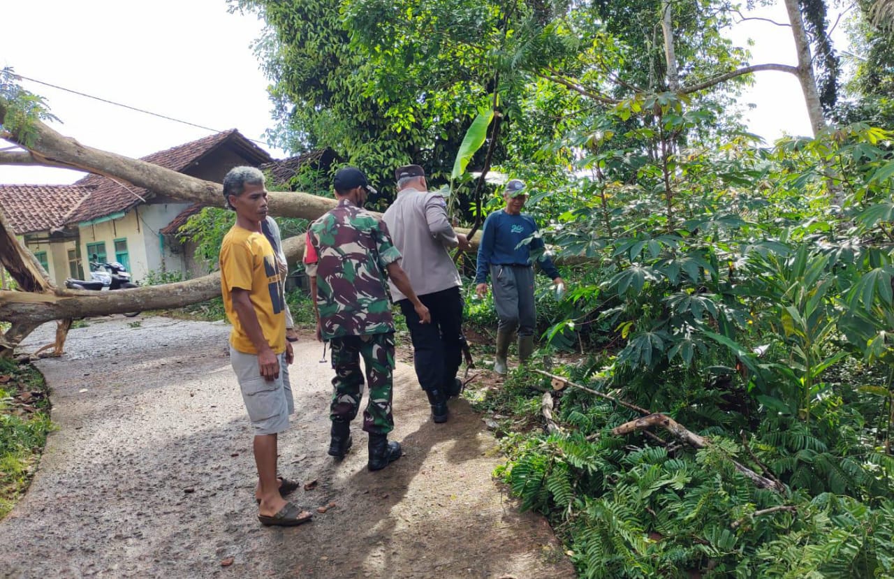 Polri Siaga Bencana, Polsek Kawali Polres Ciamis Bantu Evakuasi Pohon Tumbang ke Rumah Warga