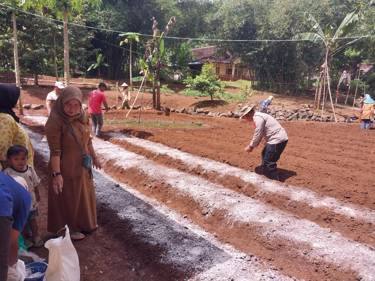 Ketahanan Pangan, Polres Ciamis Ikut Tanam Jagung Bareng Warga Desa Raksabaya