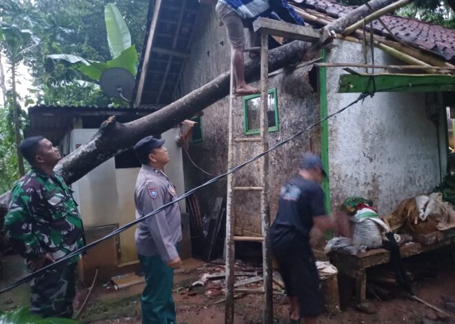 Polri Siaga Bencana, Polsek Ciamis Polres Ciamis Datangi TKP Bencana Pohon Tumbang di Bendasari