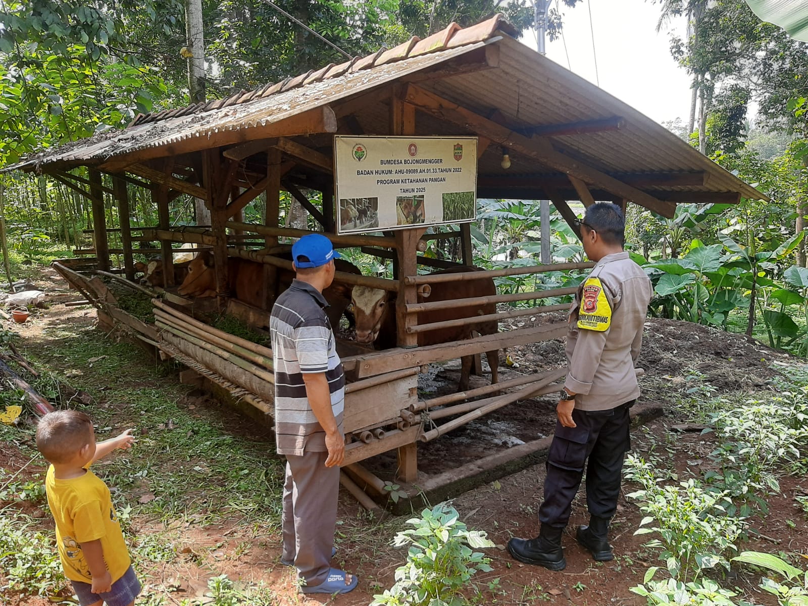 Polsek Cijeungjing Monitoring Program Ketahanan Pangan Peternakan, Wujud Peran Aktif Polri Dukung Kemandirian Desa