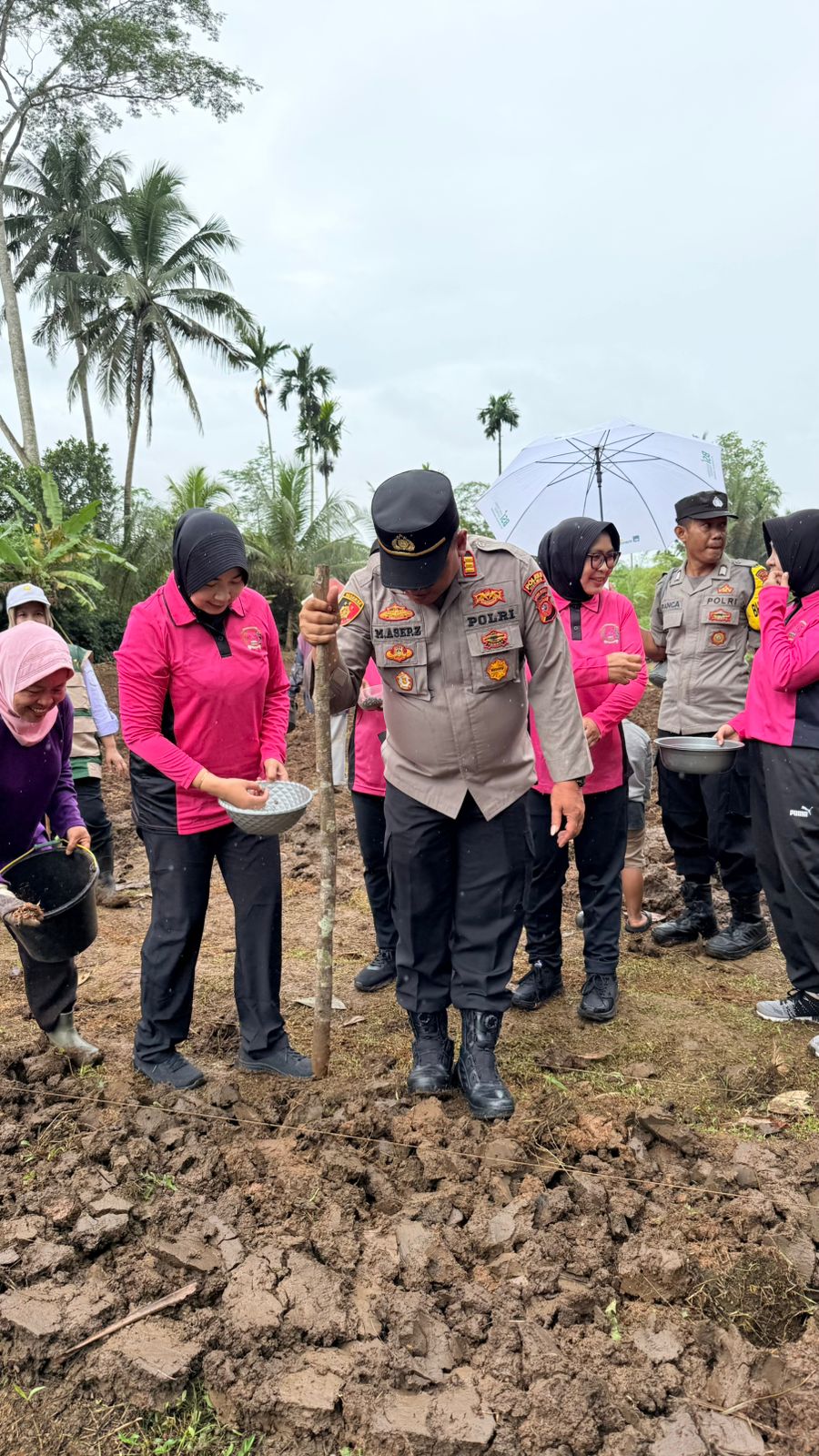 Polsek Cisaga Dukung Swasembada Pangan Lewat Penanaman Jagung Serentak Kuartal I 2026