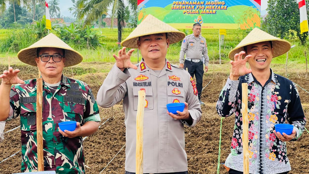 Polres Ciamis Ambil Peran Aktif Dukung Swasembada Pangan Melalui Penanaman Jagung Serentak 750 Hektare