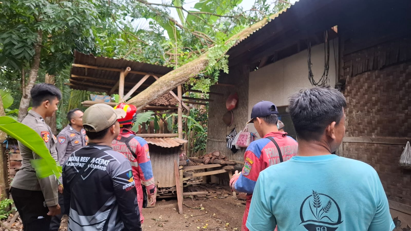 Personel Polsek Pamarican Datangi TKP Bencana Pohon Tumbang di Dusun Lowasari Bangunsari