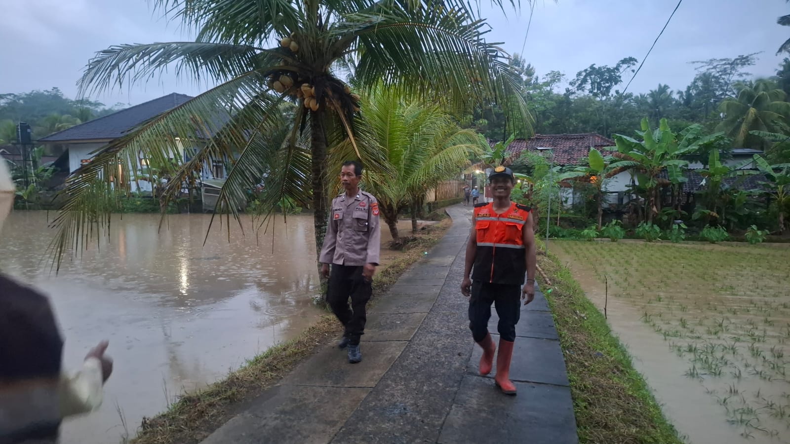 Hujan Deras Hingga Bikin Banjir, Ratusan Hektar Sawah dan Rumah di Cigamping Terendam