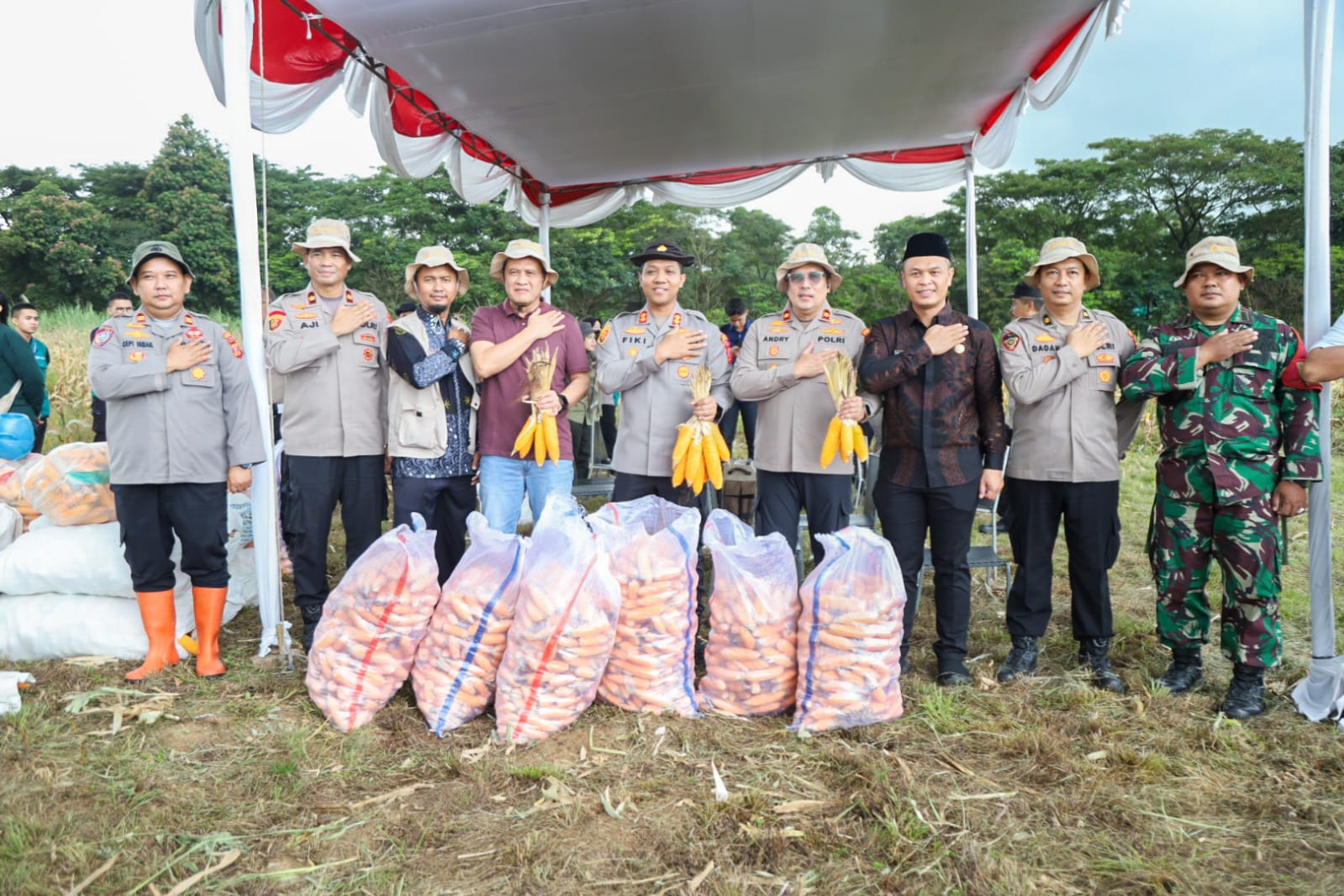 Dukung Ketahanan Pangan, Polres Karawang Panen Raya 28 Ton Jagung Pipil Kering
