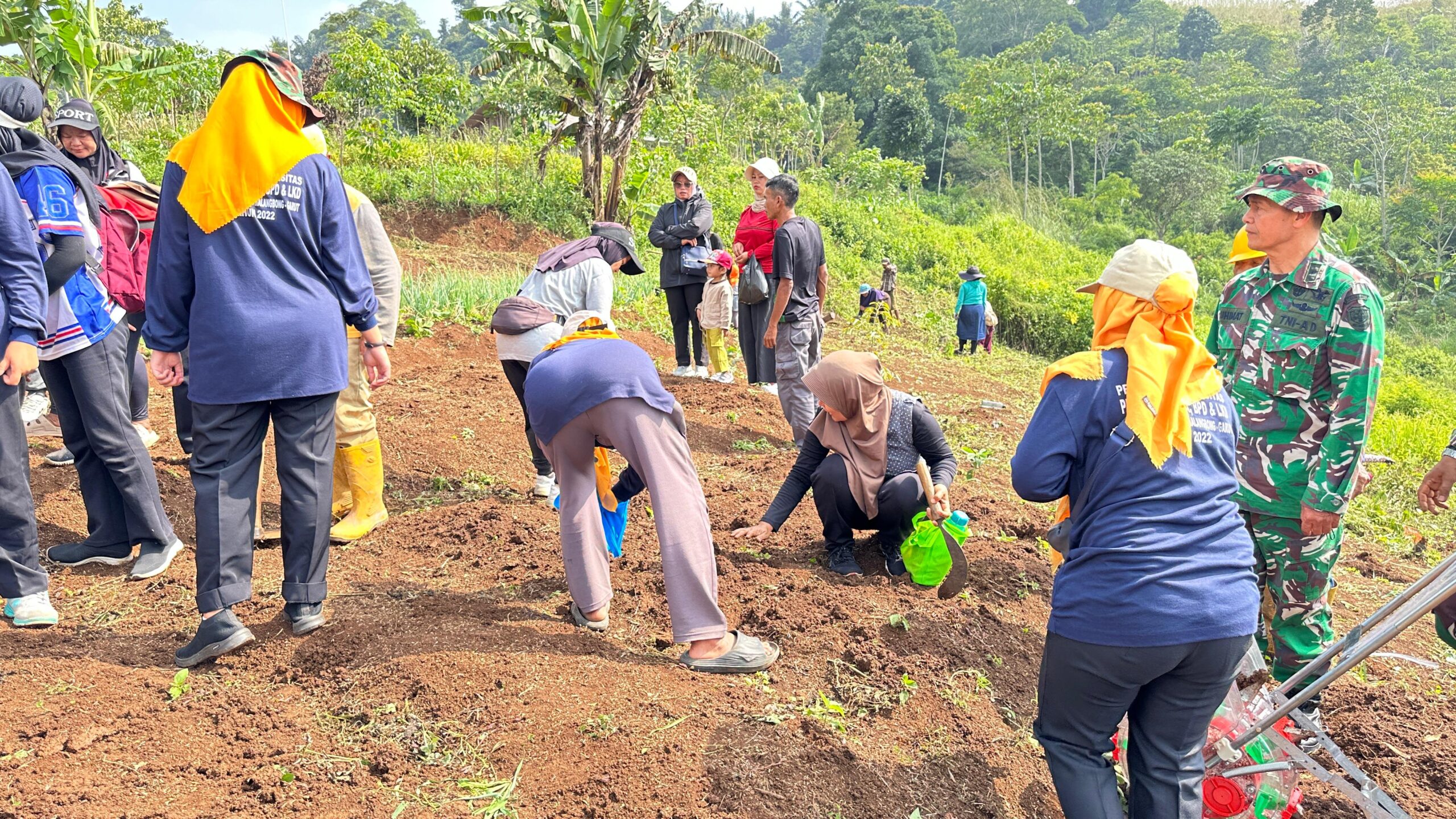 TMMD ke-128 Garut: Gandeng Dinas Pertanian, Warga Tanam Jagung di Situ Ranca