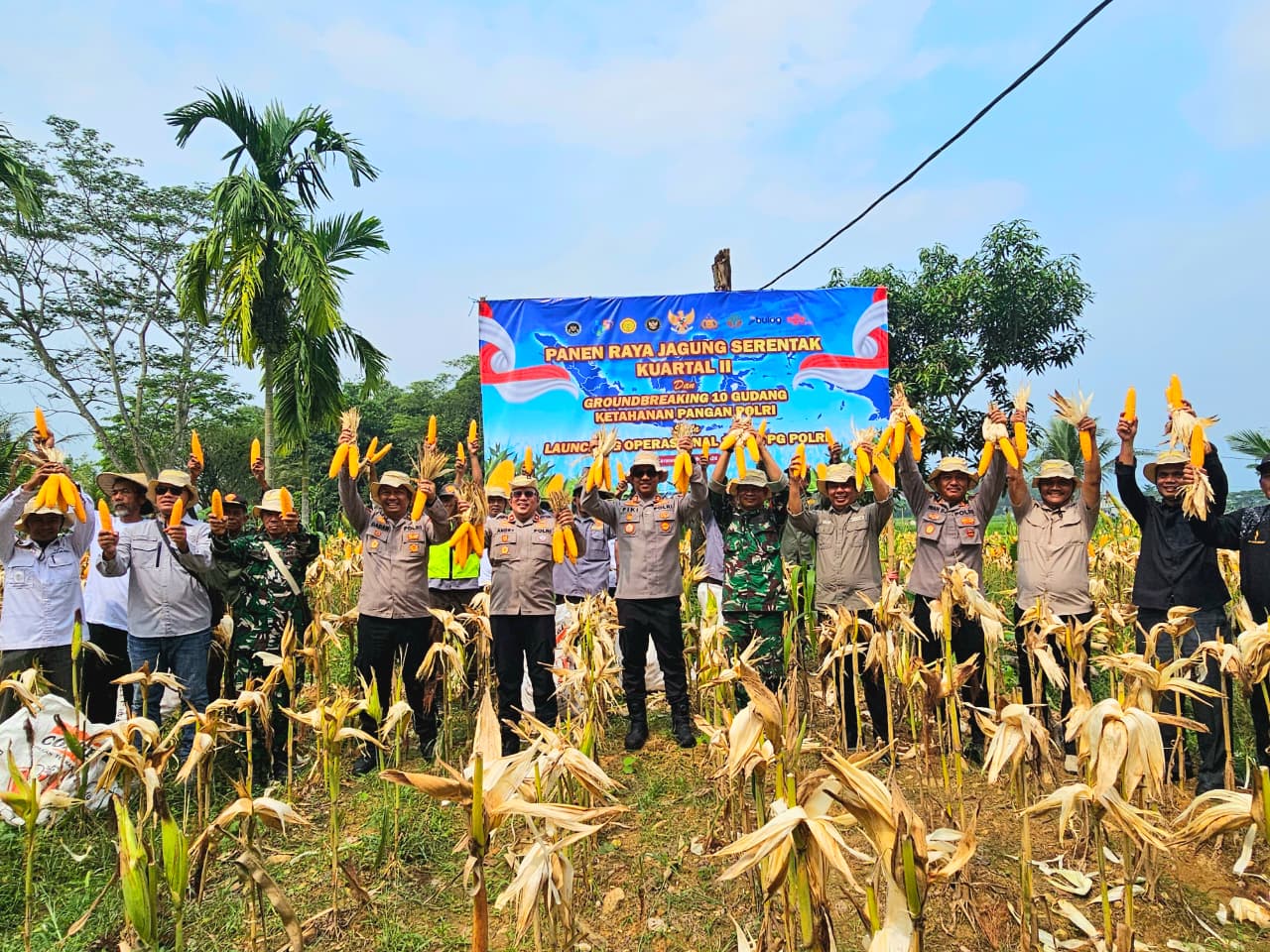 Sinergi Ketahanan Pangan, Polres Karawang Gelar Panen Raya Jagung Bersama Petani Pangkalan