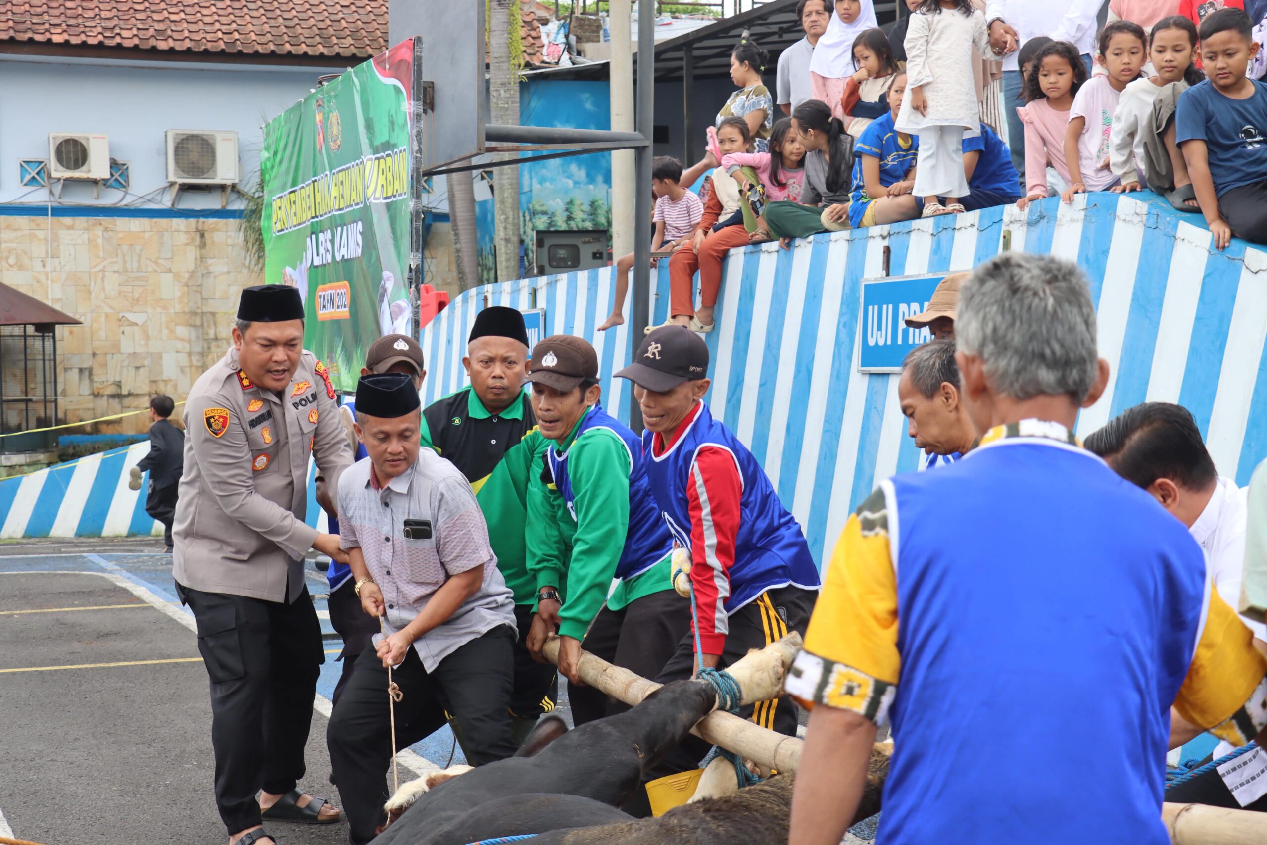 Tebar Kebahagiaan di Idul Adha 1447 H, Polres Ciamis Salurkan Ribuan Paket Daging Kurban untuk Masyarakat