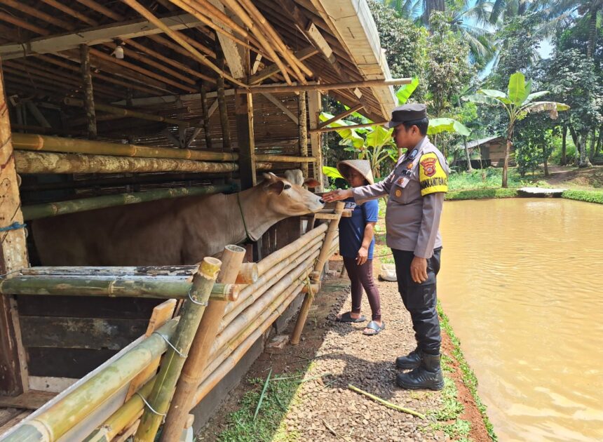 Tingkatkan Sinergitas, Polsek Sukadana Polres Ciamis Koorkom Kamtibmas Bareng Peternak di Salakaria