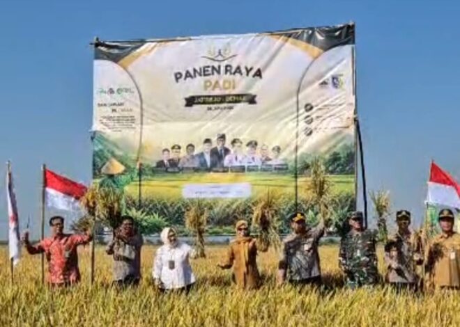 Panen Raya PADI 2026 DI DEMAK Perkuat Kemitraan Petani DAN Dunia Usaha Dalam Mendukung Ketahanan Pangan Nasional