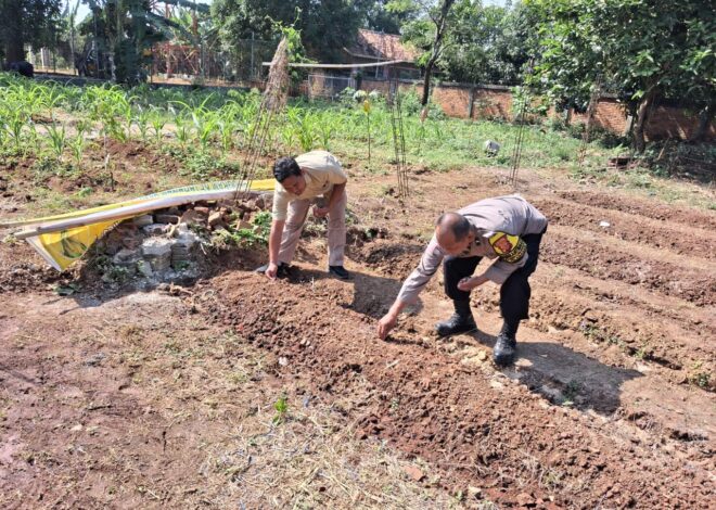 Polres Karawang Melalui Jajarannya Ikut Serta dalam Penanaman Jagung, Dukung Program Ketahanan Pangan Nasional
