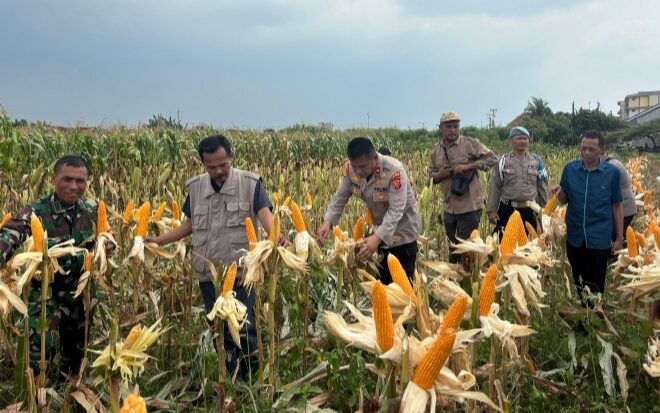 Polsek Klari Bersama Muspika Komitmen Dukung Program Swasembada Pangan Nasional 2026