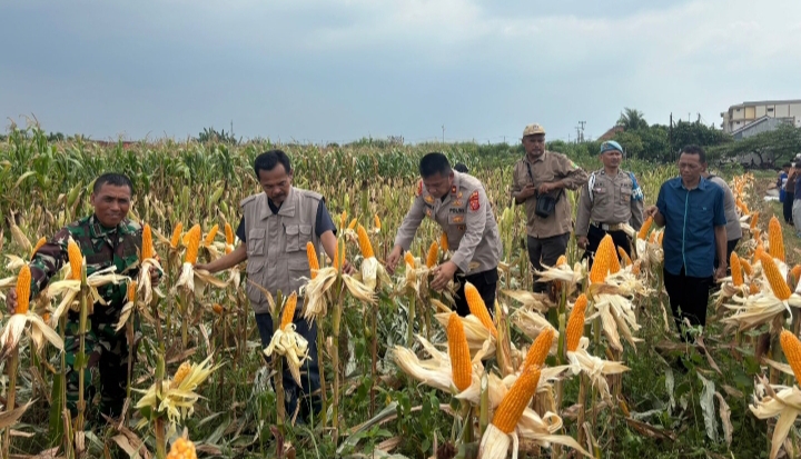 Polsek Klari Bersama Muspika Komitmen Dukung Program Swasembada Pangan Nasional 2026