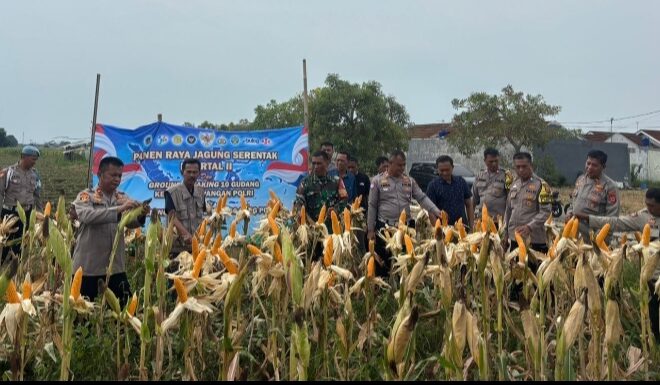 Satreskrim Polres Karawang Fokus Komitmennya Dukung Program Ketahanan Pangan Nasional ‎