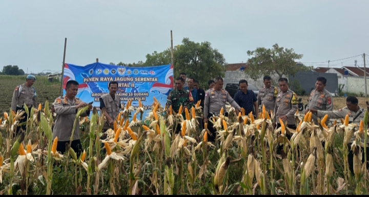 Satreskrim Polres Karawang Fokus Komitmennya Dukung Program Ketahanan Pangan Nasional ‎