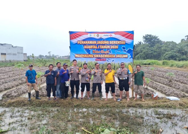 Personil Polsek Telagasari Berdayakan Petani Untuk Menanam Jagung, Dukung Program Ketahanan Pangan Nasional