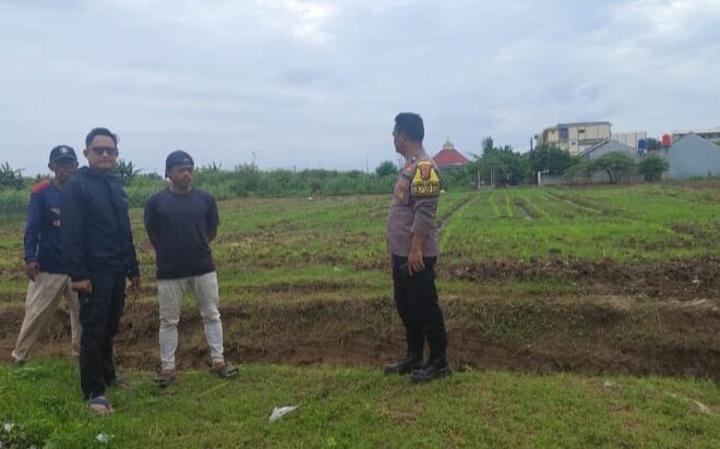 Połsek Klari Gaungkan Swasembada Pangan, Lakukan Pemupukan Tanaman Jagung