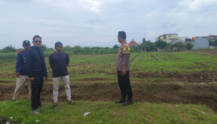 Połsek Klari Gaungkan Swasembada Pangan, Lakukan Pemupukan Tanaman Jagung