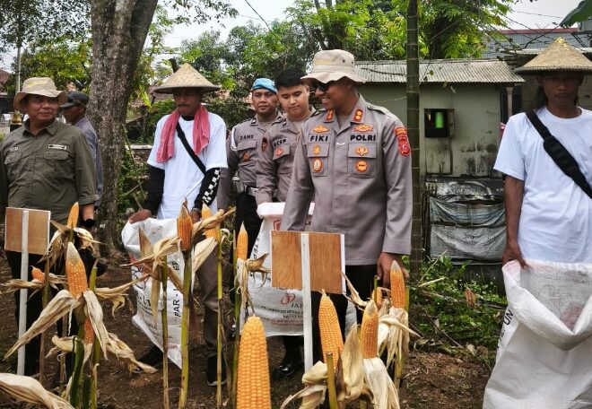 Satreskrim Polres Karawang Mensukseskan Program Swasembada Pangan, Ikut Serta Penanaman Jagung