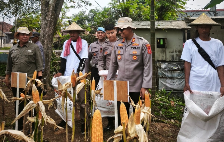 Satreskrim Polres Karawang Mensukseskan Program Swasembada Pangan, Ikut Serta Penanaman Jagung
