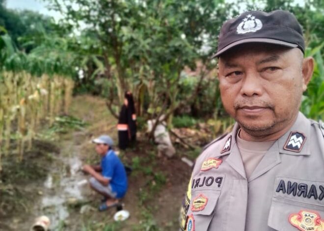 Dukung Swasembada Pangan, Personil Polsek Klari Kontrol Lahan Jagung Pastikan Tumbuh Dengan Baik