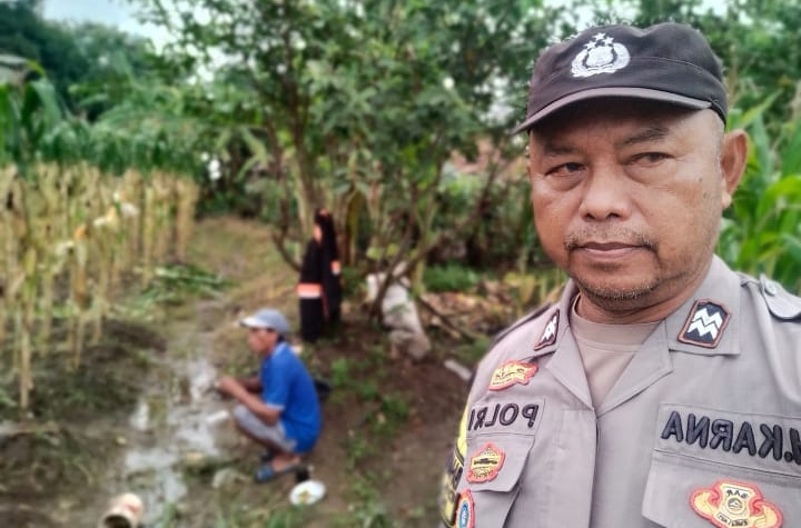 Dukung Swasembada Pangan, Personil Polsek Klari Kontrol Lahan Jagung Pastikan Tumbuh Dengan Baik