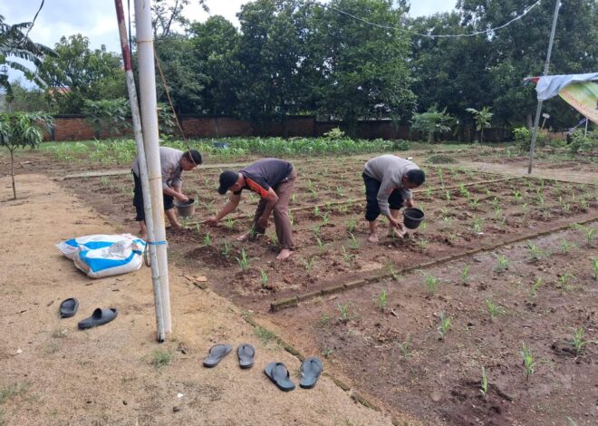Satlantas Polres Karawang Monitoring Lahan Jagung Guna Sukseskan Program Ketahanan Pangan Daerah