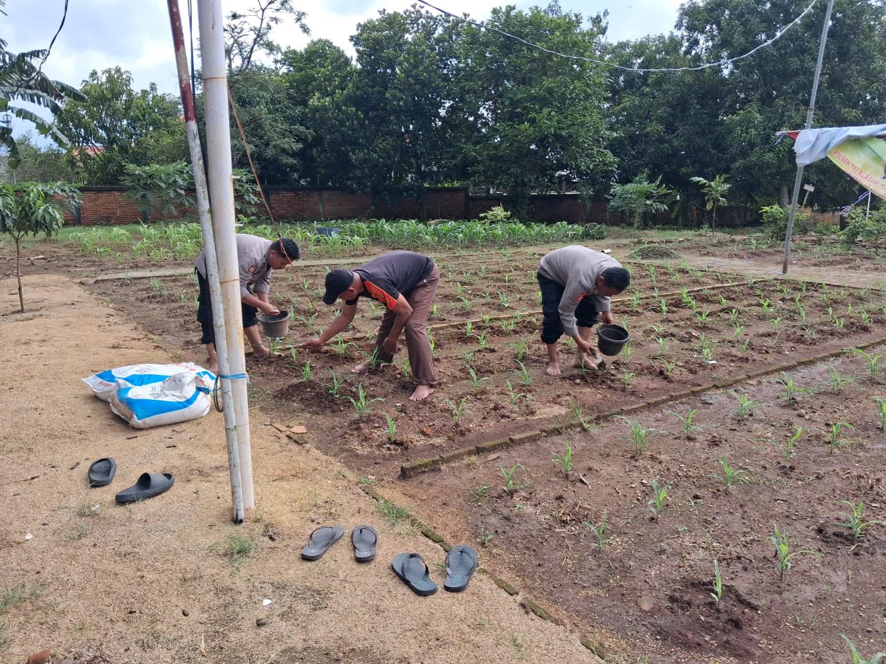 Satlantas Polres Karawang Monitoring Lahan Jagung Guna Sukseskan Program Ketahanan Pangan Daerah