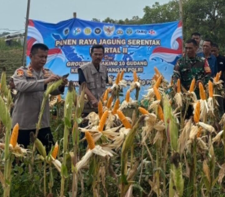 Kolaborasi Kapolsek Klari, Danramil dan Camat Klari, Wujudkan Program Swasembada Pangan Nasional di Lahan Perum Bumi Kosambi Baru
