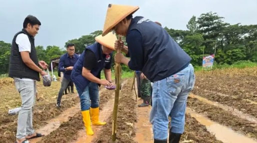 Aksi Nyata Satreskrim Polres Karawang Wujudkan Program Swasembada Pangan ‎