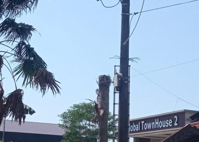 Pencuri Kabel Kesetrum di Pontianak Selatan, Dievakuasi Tim Gabungan