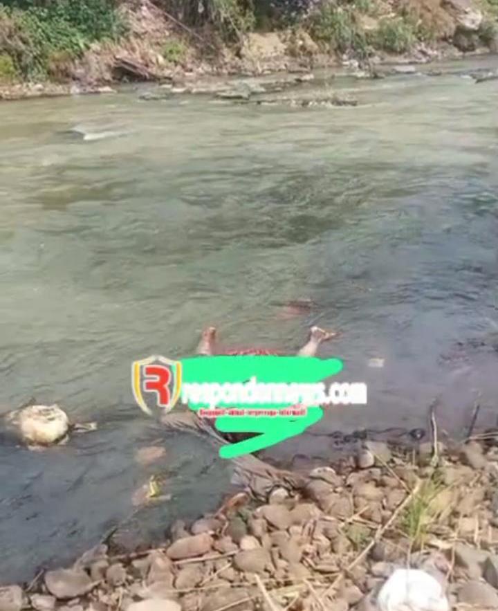 Warga Digemparkan Penemuan Mayat Perempuan di Sungai Ci Catih Cibadak